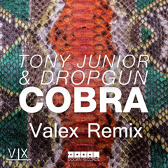 Tony Junior & Dropgun - Cobra (Vale Remix)