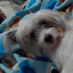 Thinking of you - Katy Perry (sinabayan ko lang yung kapitbahay namin na nonstop mag-karaoke) ????