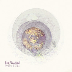 Paul Woolford - MDMA (Full Stream)