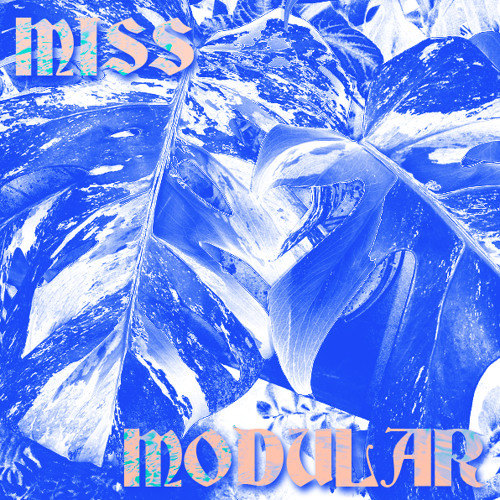 MISS MODULAR #4 | Kadhja Bonet