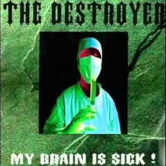THE DESTROYER - My Brain Is Sick - Original Mix