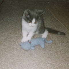 Drunk Elk - Swept Upon The Red Wine Sea