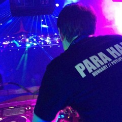 On the Way to Ozora – PARA HALU 27/06/2015