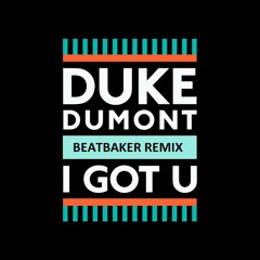 Duke Dumont - I Got You (BeatBaker Remix)
