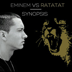 Synopsis - Eminem VS Ratatat