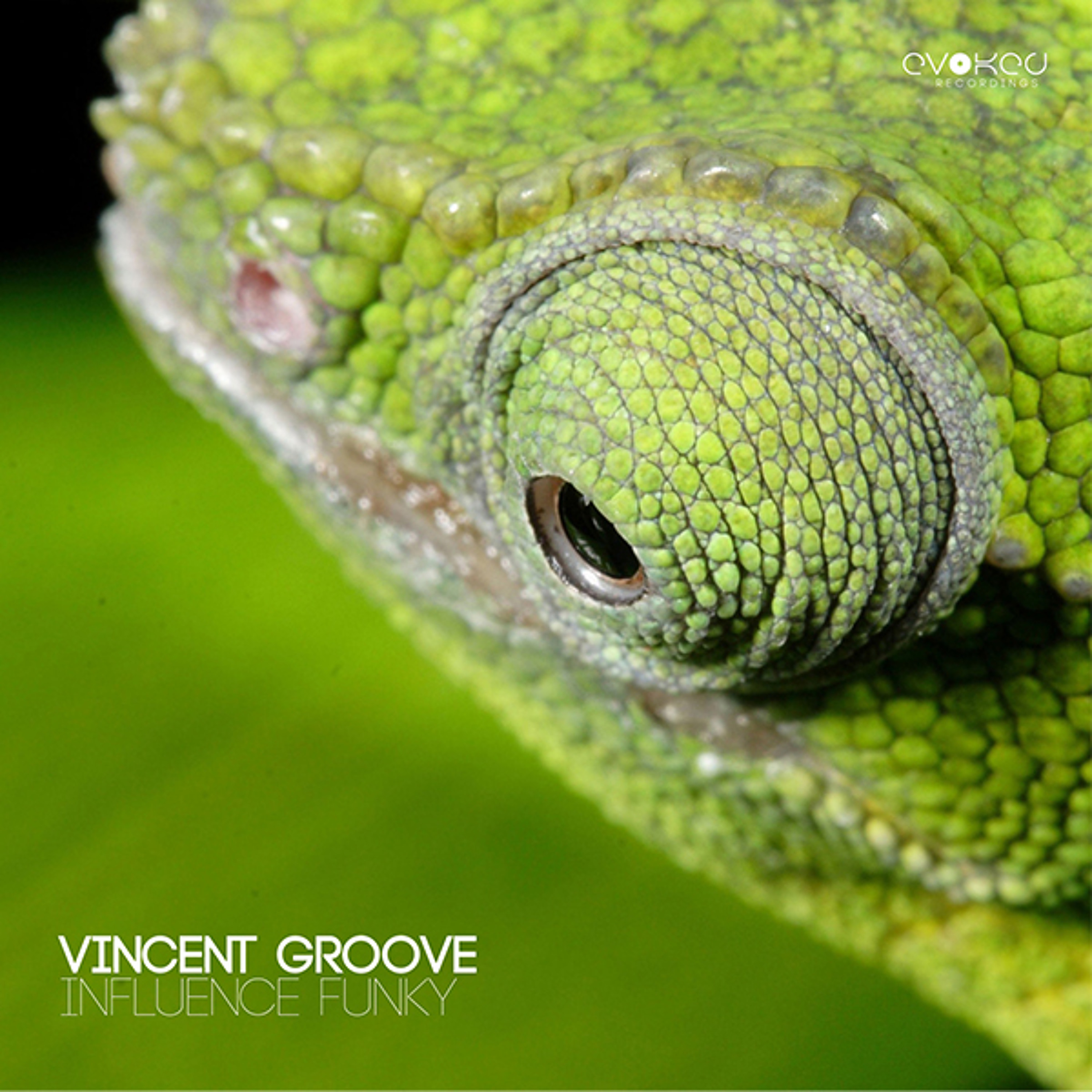 EVO141 - VincentGroove - InfluenceFunky(RyanZiglerMix) - 192 episode artwork