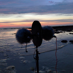 20150628 Sunrise at Botany Bay, Thanet