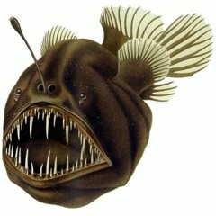 Black Seadevil