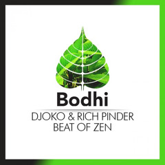 DJOKO & Rich Pinder - Beat Of Zen