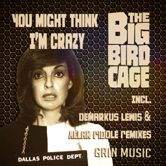 (PREVIEW)The Big Bird Cage - You Might Think I'm Crazy (Original Mix)- Grin Music
