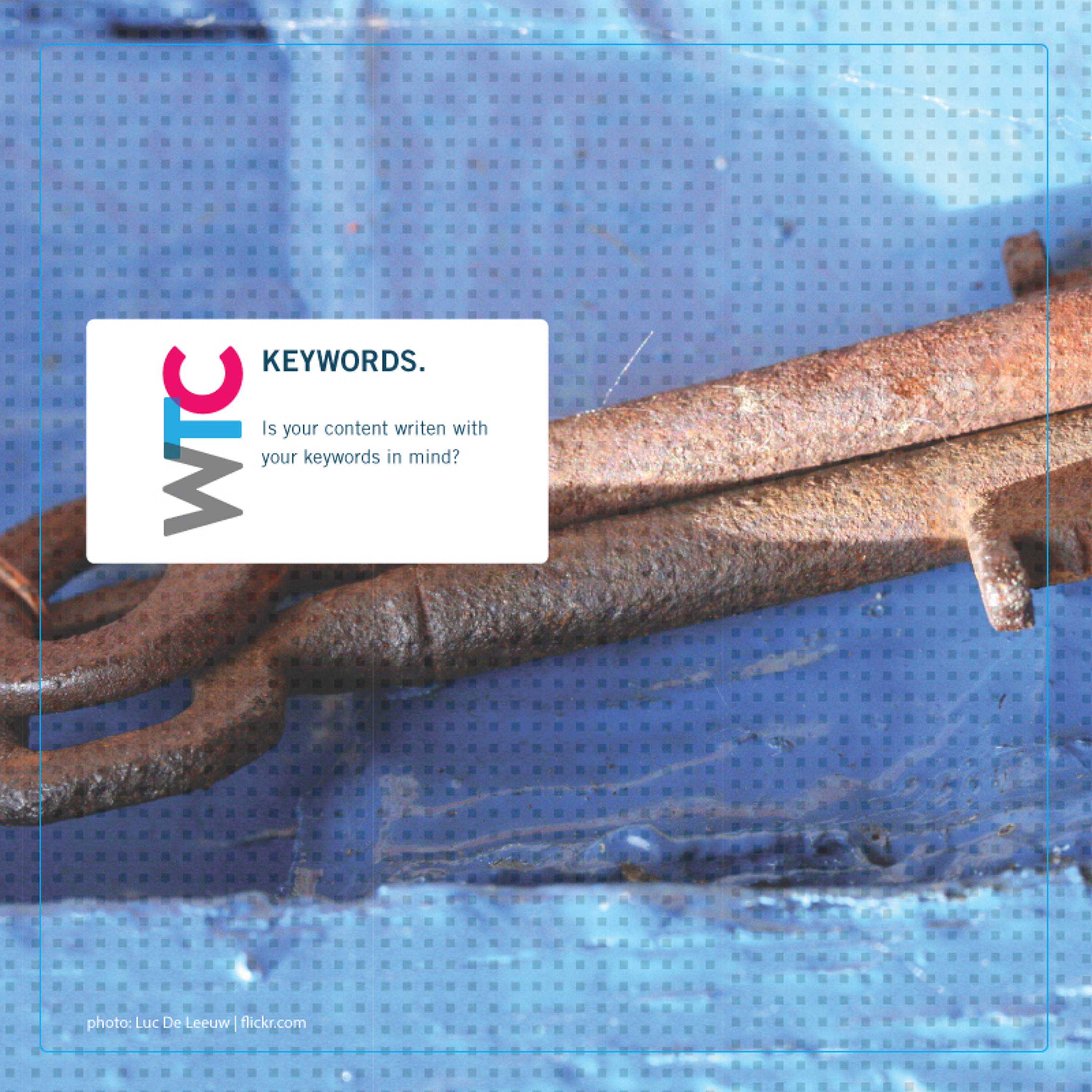 What Every Business Should Know About Keywords