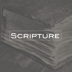 Convex - Scripture
