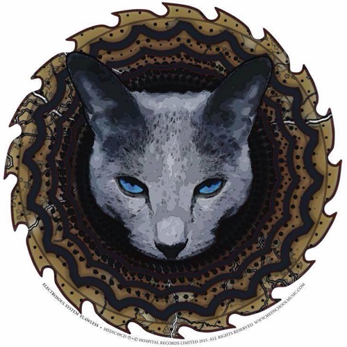 Electrosoul System & Deeizm - Shadow