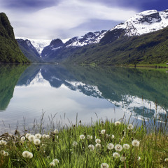 Sommermorgen Fjord