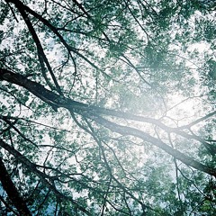 香格里拉+Strawberry Fields Forever cover by 4minoR ω BLues