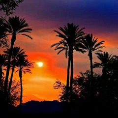 Young Noah Ft DjDorky King Hittas