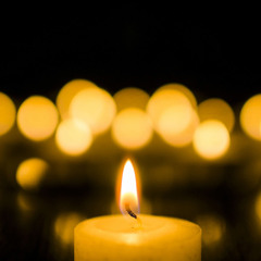 আয় তবে সহচরী