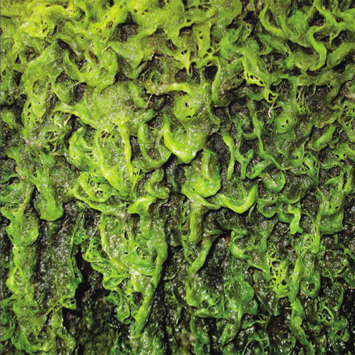 High Places - On Giving Up