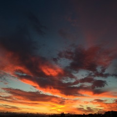 4 Swimming In A Pool Of...