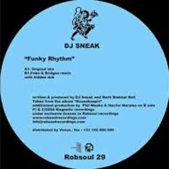 DJ Sneak - Funky Rhythm (Soultronic & Racone Remix)Free Download