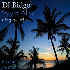 DJ Bidgo - Stayin Alive (Original Mix)