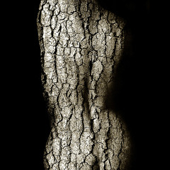 Pino Placetile - Wooden Girl (mystic remix)