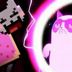 NEON CAT VS GRUMPY CAT  at WHO WON??