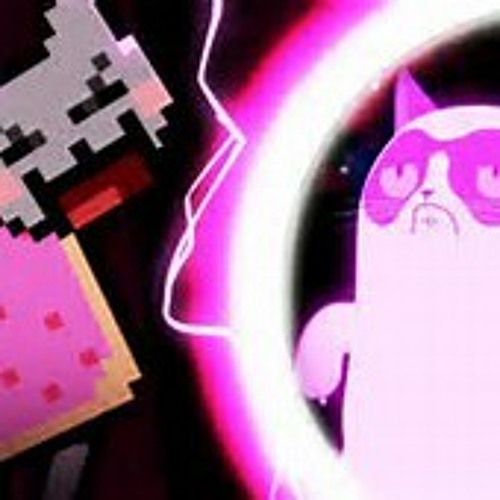 NEON CAT VS GRUMPY CAT  at WHO WON??