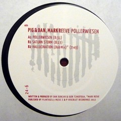 Pig & Dan - Saturn Storm