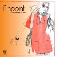 Cornershop Ft ACCÜ 'Pinpoint' - Ample Play Records