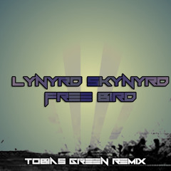 Lynyrd Skynyrd - Free Bird (Bias Remix)