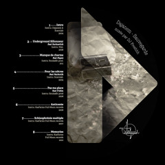 Mixtape SAUVEGARDE inédits 2007-2011-Mixée par Dj Freshhh (version 1 piste)