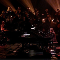 Live - Benjamin Biolay NEGATIF  @Folies Bergère  Paris 30 /06/15 (Lyrics )