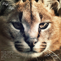 The Nurk - Disturb (Original Mix) [Deep Strips Records]