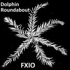 FXIO - Dolphin Roundabout