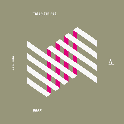 Tiger Stripes - Snapshot - Truesoul - TRUE1263