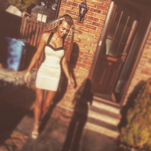 DJ David - The Whistle (Donk Remix)