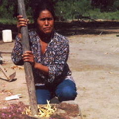 Ana Medrano - Algarrobo - Qomllalaqpi