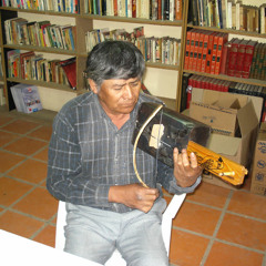 Mauricio Maidana - N'vique - Qomllalaqpi