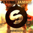 JAMMU (Dandre Remix) Original Mix