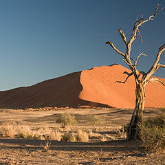 Nyiri Desert