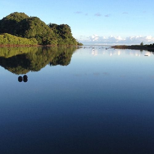 All of Me - Palauan Alt Reggae Remix