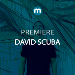 Premiere: David Scuba 'Everything'