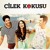 Artwork for Çilek Kokusu | Esin İris