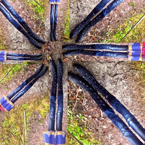 My boots are growing_ collab with deep man