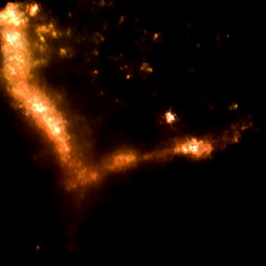 Summer Of Sinister Life