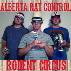 Rodent Circus