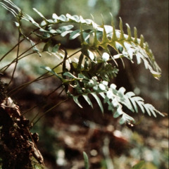 Across the Table - Single