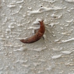 グッバイフォーロンリネス・ワンダービューティフルグレートイモータルボミットネス