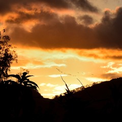 Tanto Faz (original)